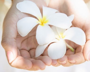 ferilita-flowers-white-couple-hands-tenderness-1280x1024